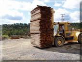 Transporting lumber from the kiln to the wharehouse